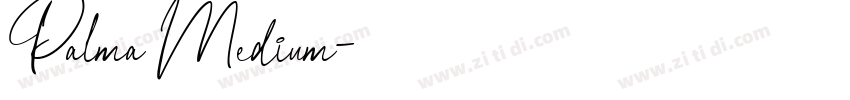 Palma Medium字体转换 Palma Medium字体转换